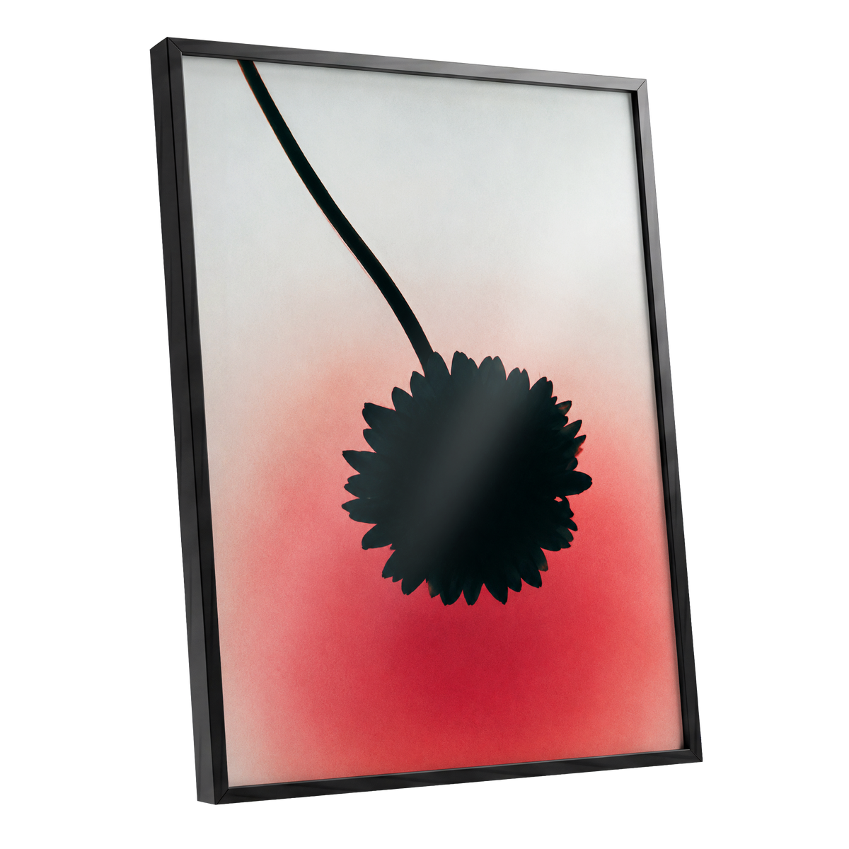 Bloom in Blush, black, pink, red floral wall art shown as a black framed poster wall art print