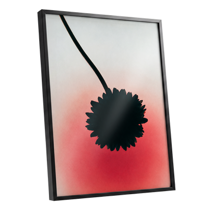 Bloom in Blush, black, pink, red floral wall art shown as a black framed poster wall art print