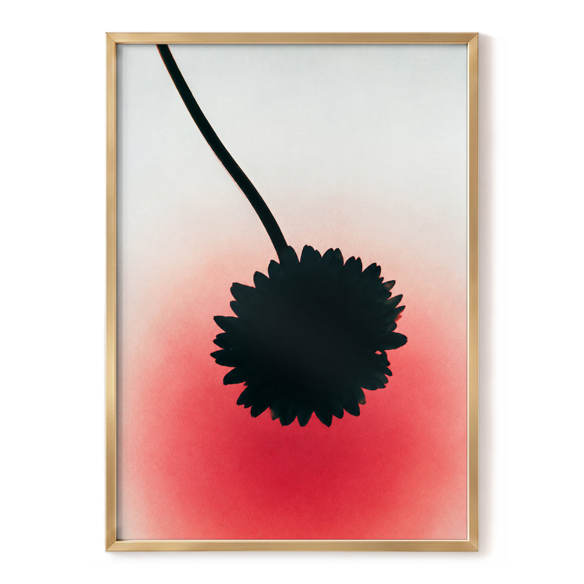 Bloom in Blush, black, pink, red floral wall art, front artwork view