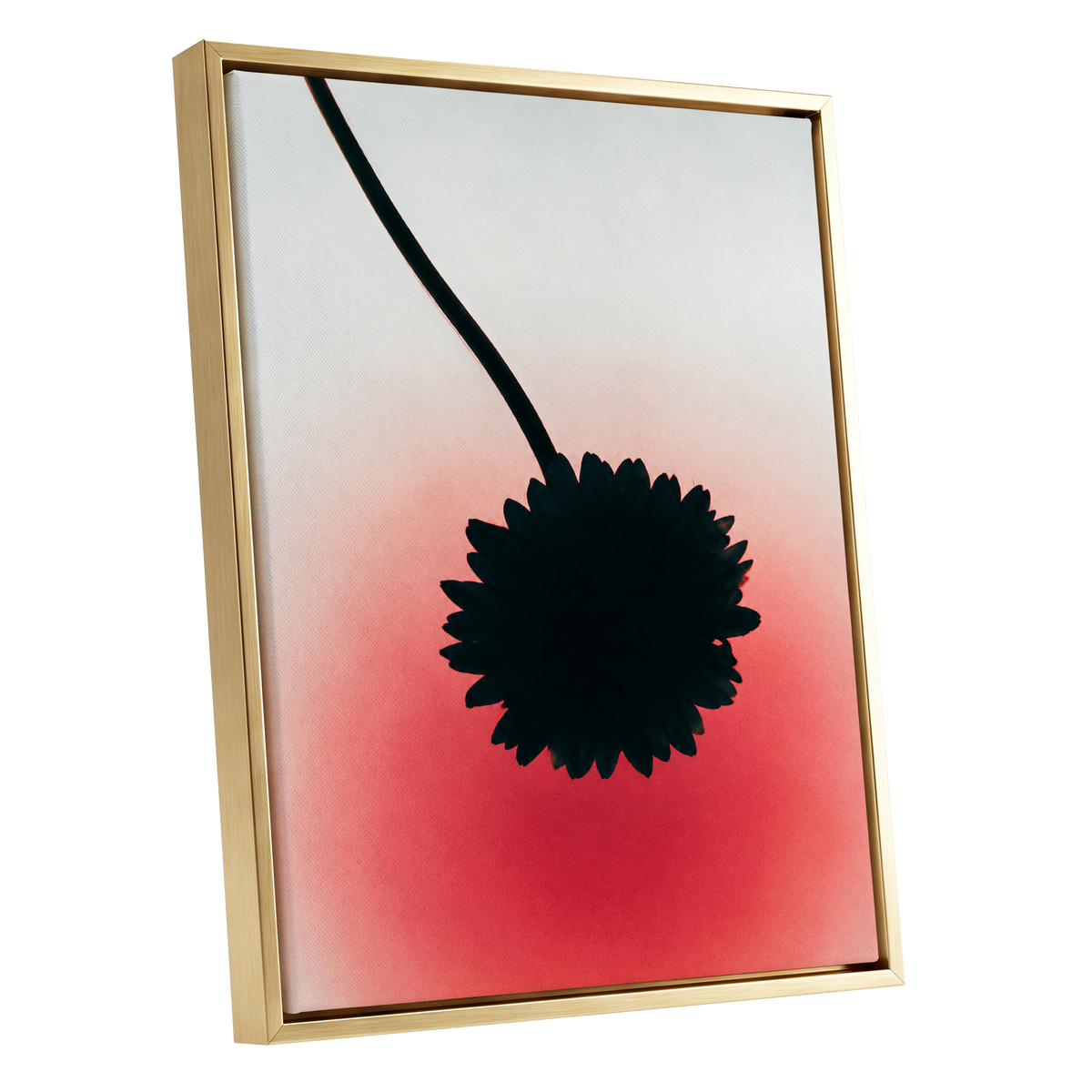 Bloom in Blush, black, pink, red floral wall art shown as a gold framed canvas wall art