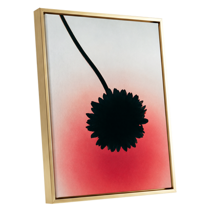 Bloom in Blush, black, pink, red floral wall art shown as a gold framed canvas wall art