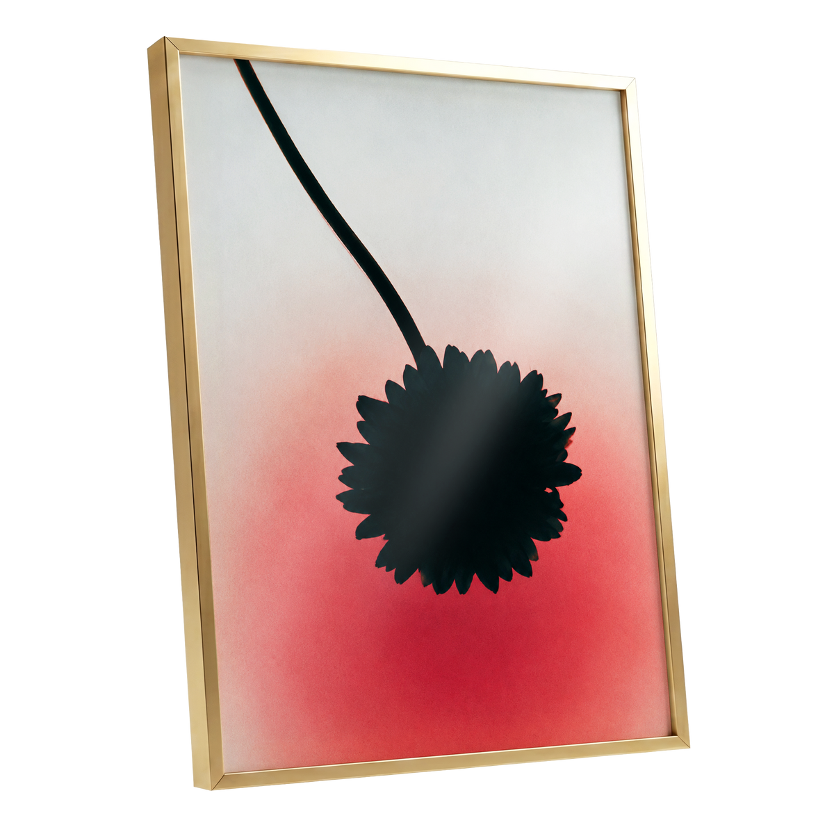 Bloom in Blush, black, pink, red floral wall art shown as a gold framed poster wall art print