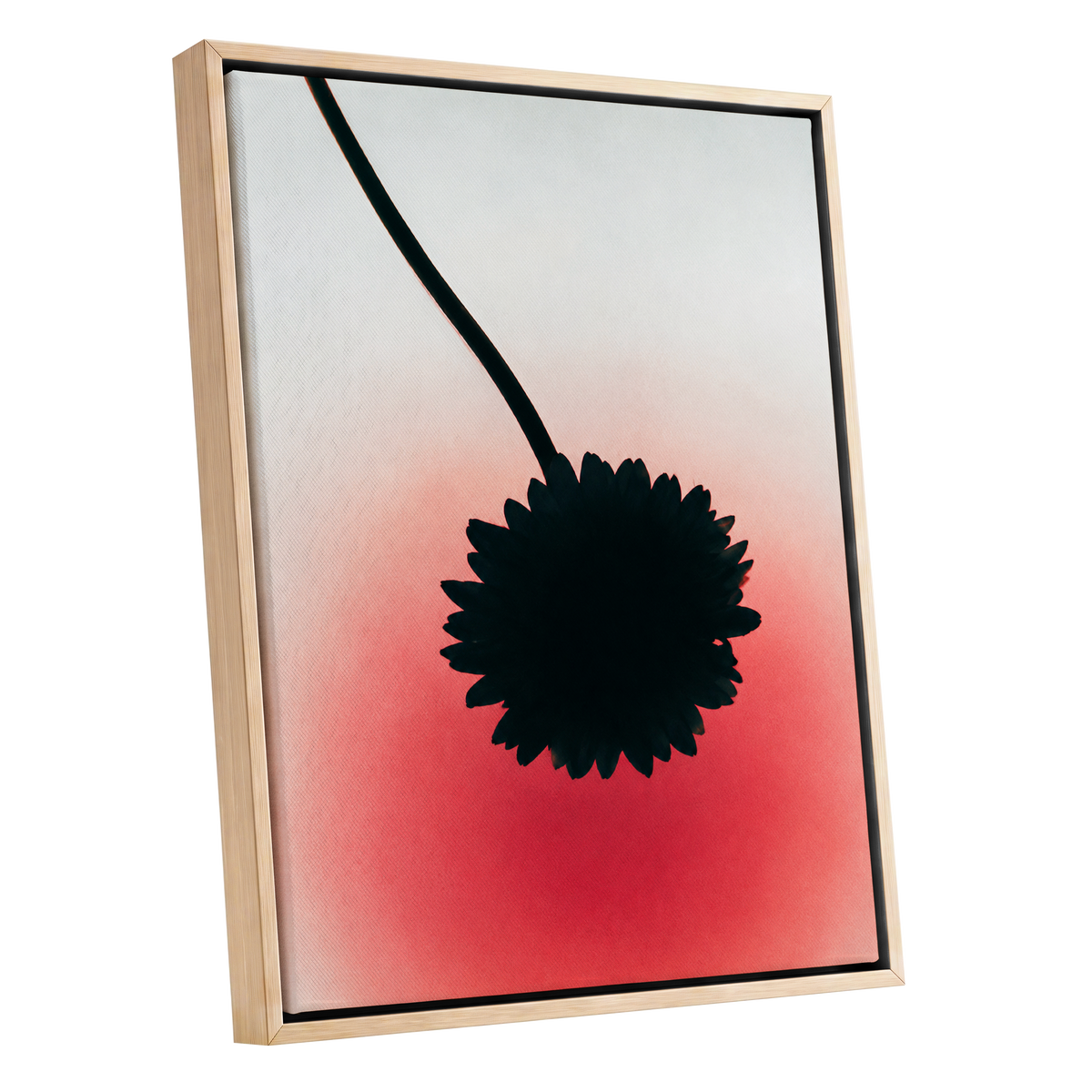 Bloom in Blush, black, pink, red floral wall art shown as a oak framed canvas wall art