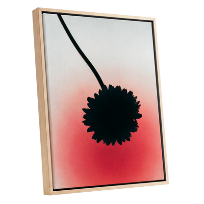 Bloom in Blush, black, pink, red floral wall art shown as a oak framed canvas wall art