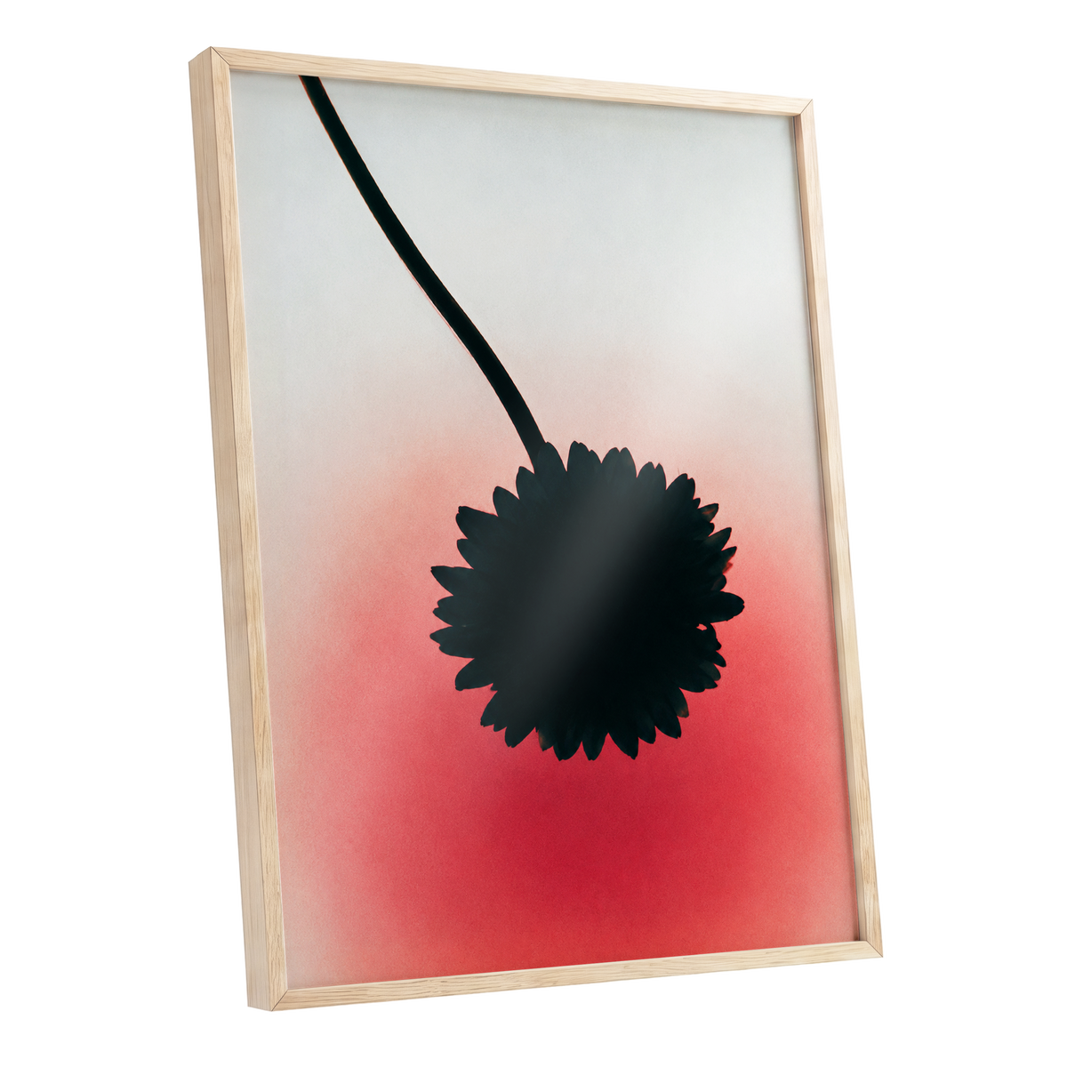 Bloom in Blush, black, pink, red floral wall art shown as a oak framed poster wall art print