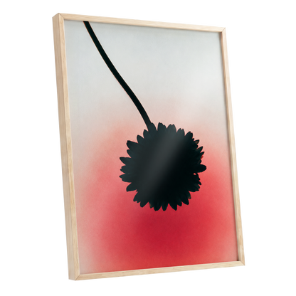 Bloom in Blush, black, pink, red floral wall art shown as a oak framed poster wall art print