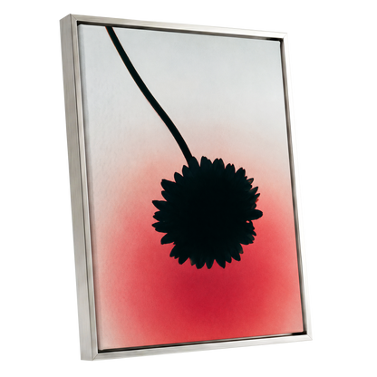 Bloom in Blush, black, pink, red floral wall art shown as a silver framed canvas wall art