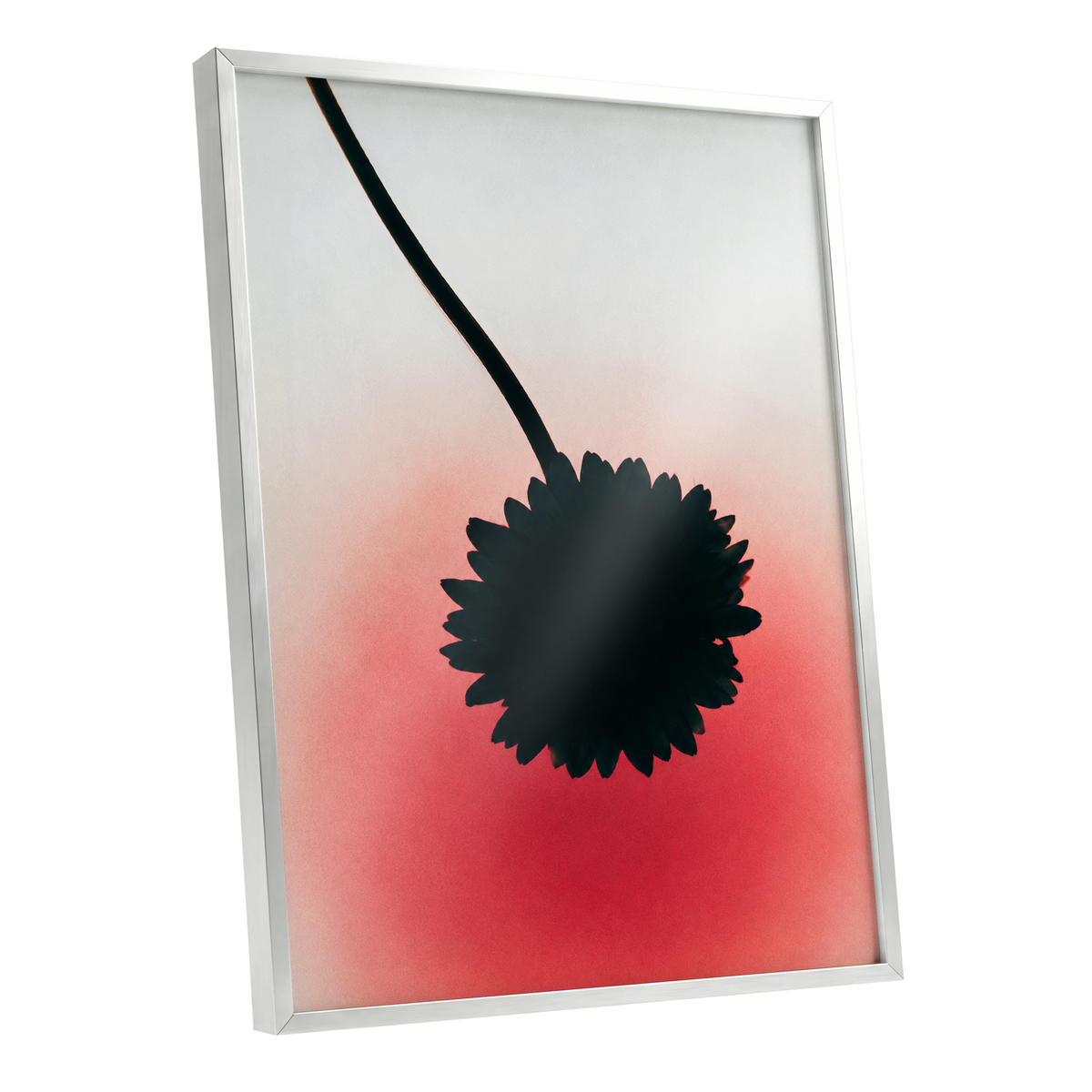 Bloom in Blush, black, pink, red floral wall art shown as a silver framed poster wall art print