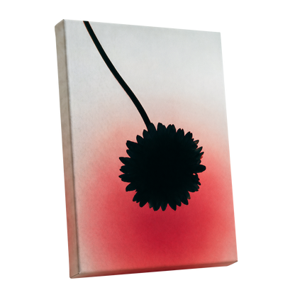 Bloom in Blush, black, pink, red floral wall art shown as a stretched canvas wall art