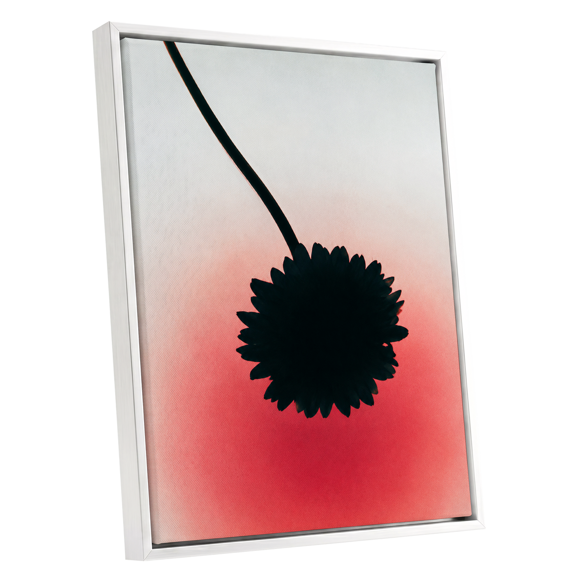 Bloom in Blush, black, pink, red floral wall art shown as a white framed canvas wall art