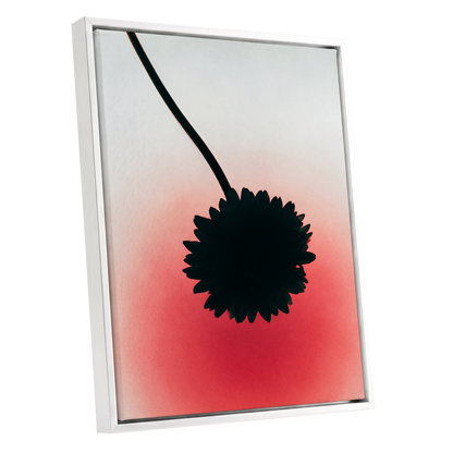 Bloom in Blush, black, pink, red floral wall art shown as a white framed canvas wall art