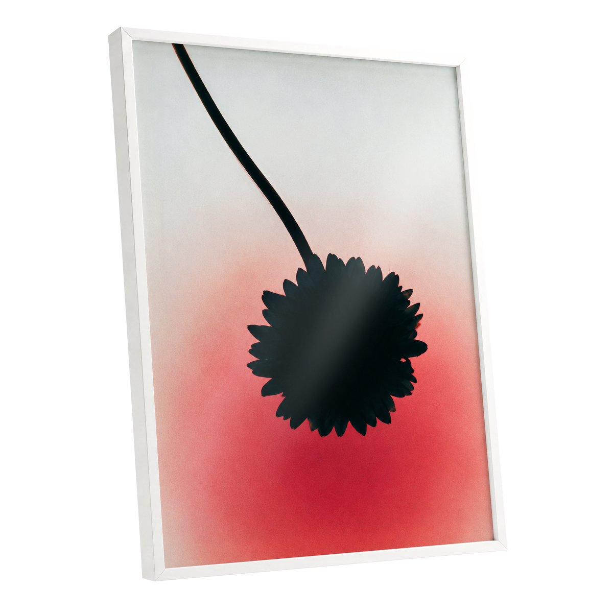 Bloom in Blush, black, pink, red floral wall art shown as a white framed poster wall art print