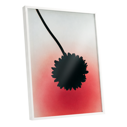 Bloom in Blush, black, pink, red floral wall art shown as a white framed poster wall art print