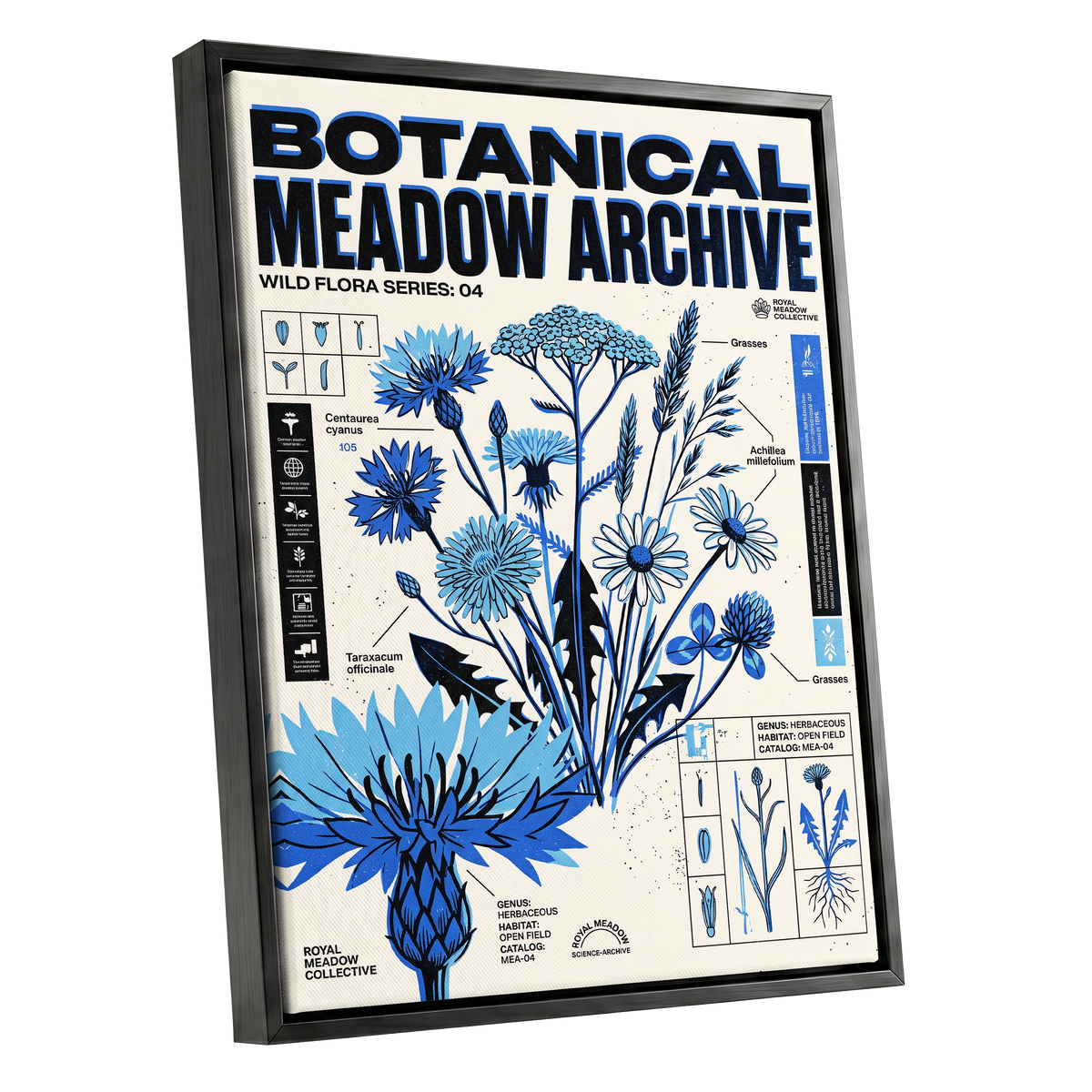 Blue Meadow Archive, blue, black, beige floral wall art shown as a black framed canvas wall art