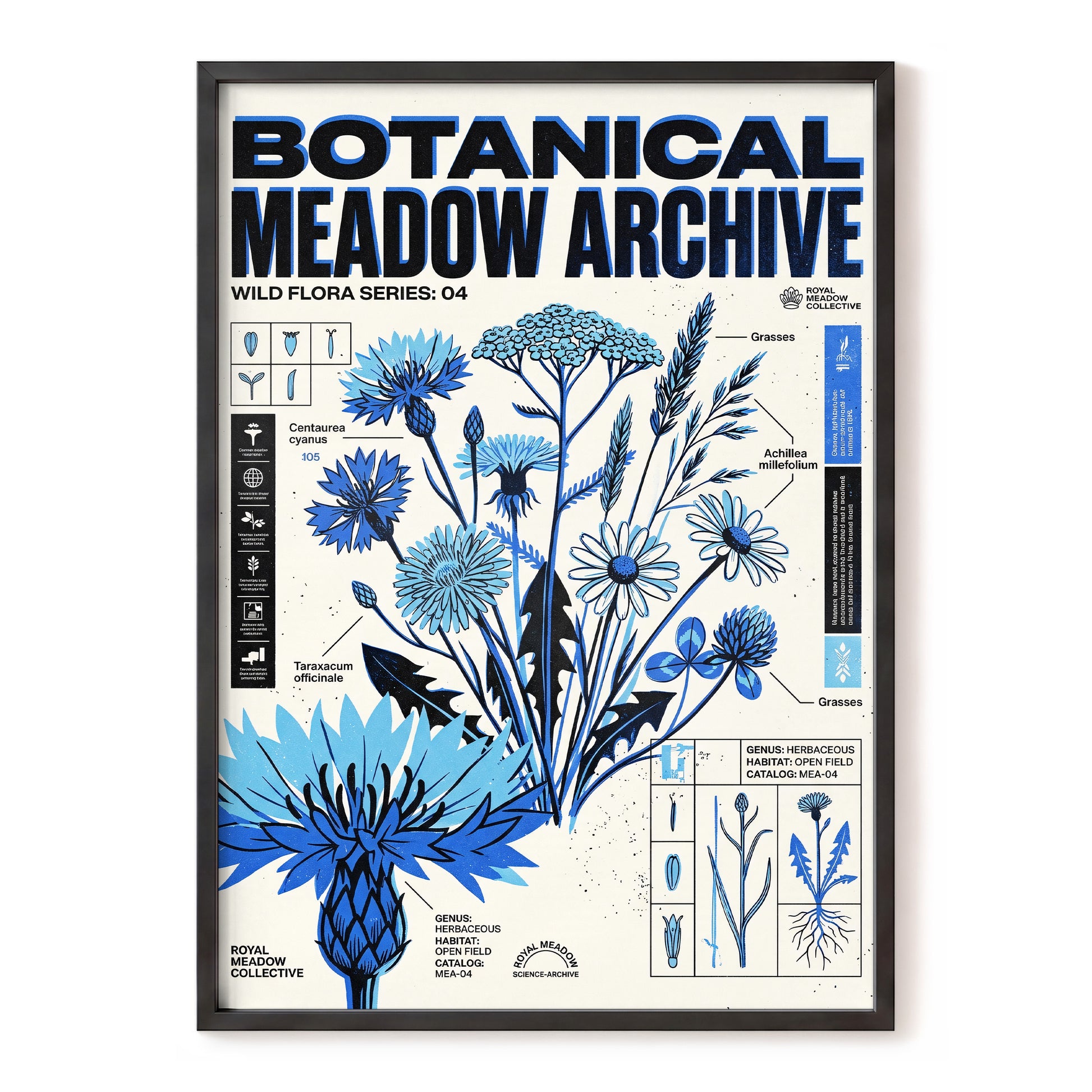 Blue Meadow Archive, blue, black, beige floral wall art, front artwork view