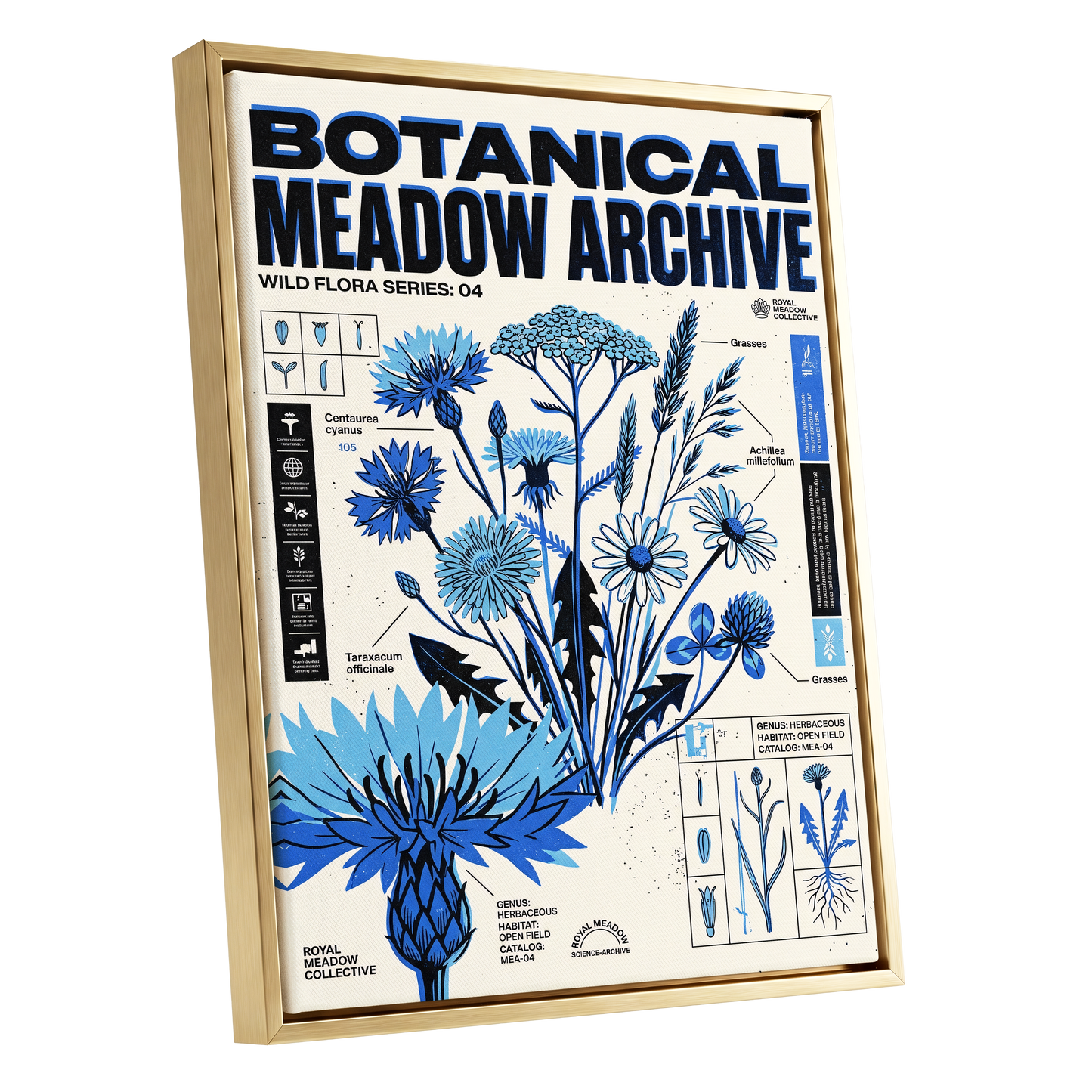 Blue Meadow Archive, blue, black, beige floral wall art shown as a gold framed canvas wall art