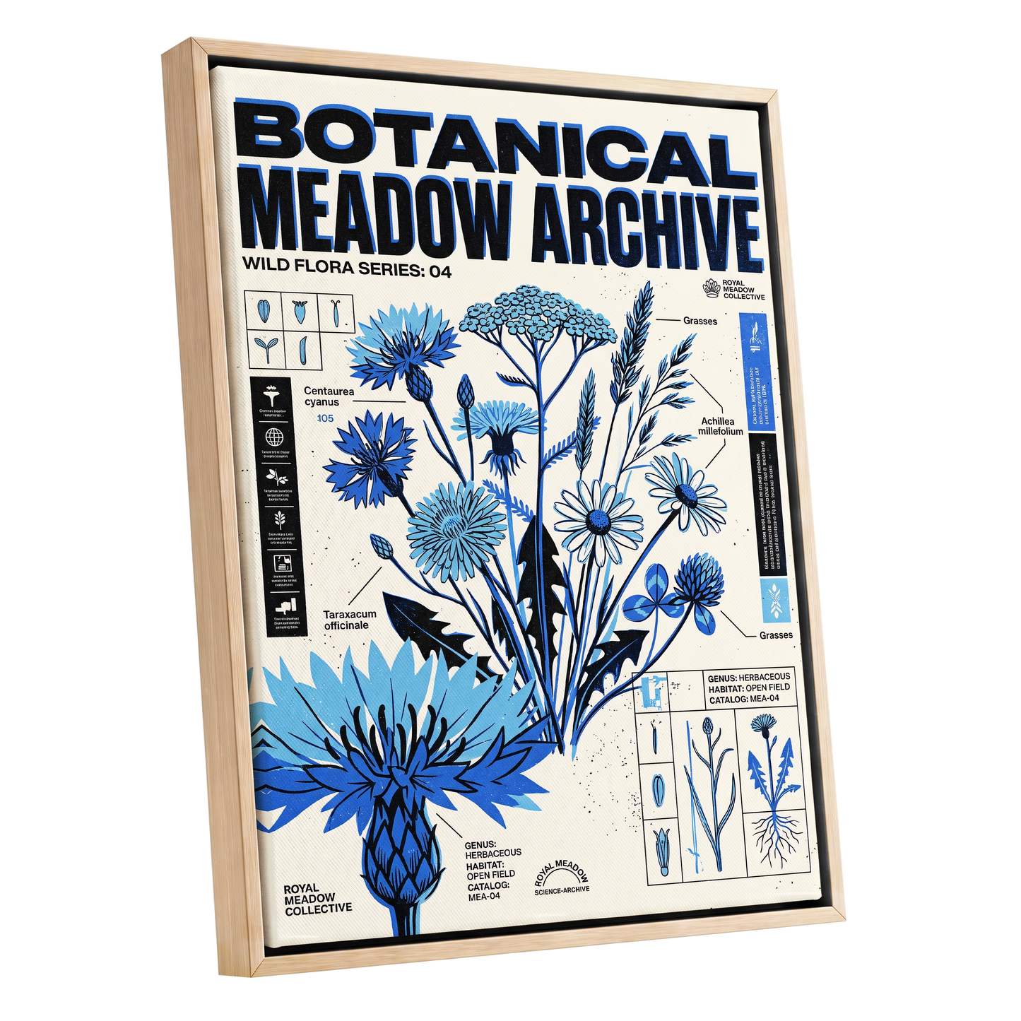 Blue Meadow Archive, blue, black, beige floral wall art shown as a oak framed canvas wall art