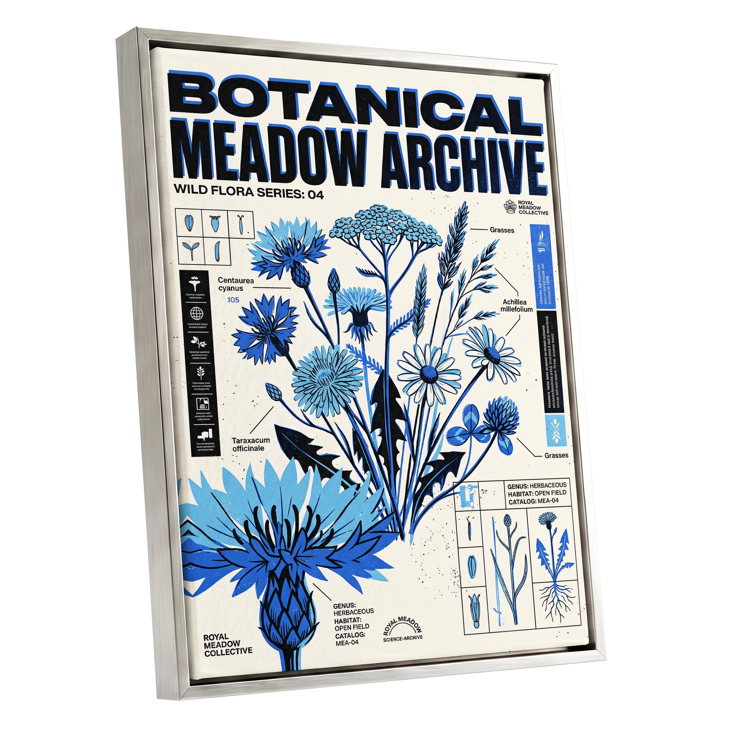 Blue Meadow Archive, blue, black, beige floral wall art shown as a silver framed canvas wall art