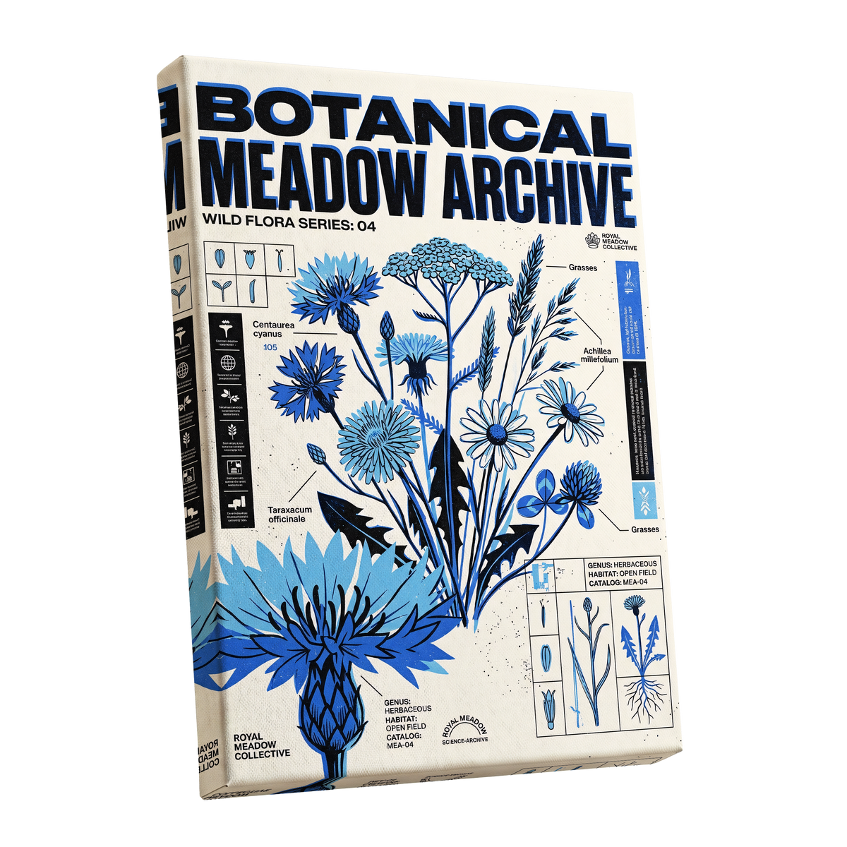 Blue Meadow Archive, blue, black, beige floral wall art shown as a stretched canvas wall art