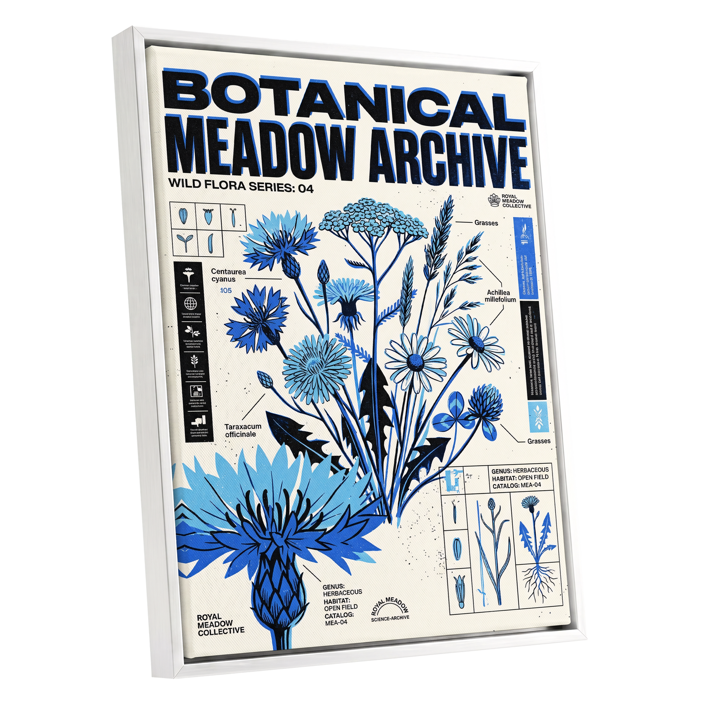 Blue Meadow Archive, blue, black, beige floral wall art shown as a white framed canvas wall art