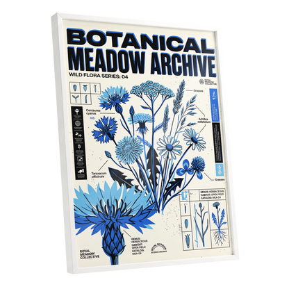 Blue Meadow Archive, blue, black, beige floral wall art shown as a white framed poster wall art print