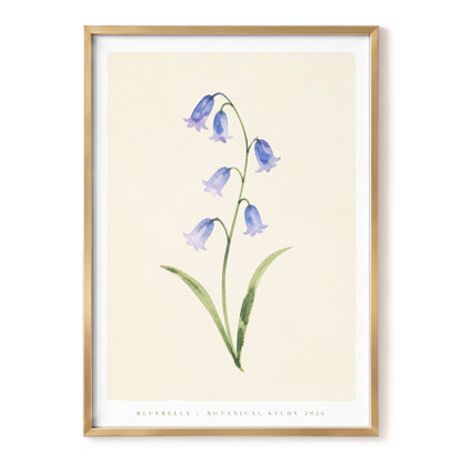 Bluebell Reverie, blue, green, beige floral wall art, front artwork view