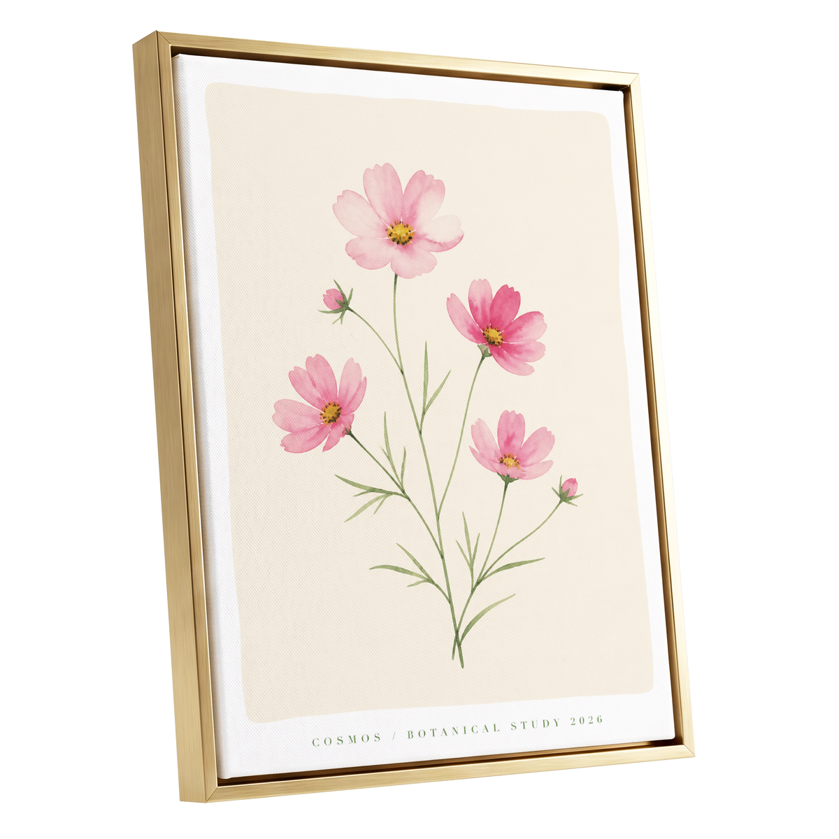 Blush Cosmos Study, pink, beige, green floral wall art shown as a gold framed canvas wall art