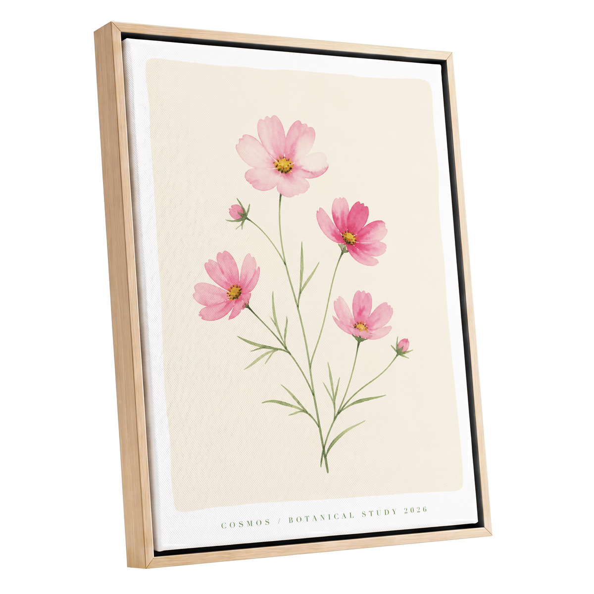 Blush Cosmos Study, pink, beige, green floral wall art shown as a oak framed canvas wall art