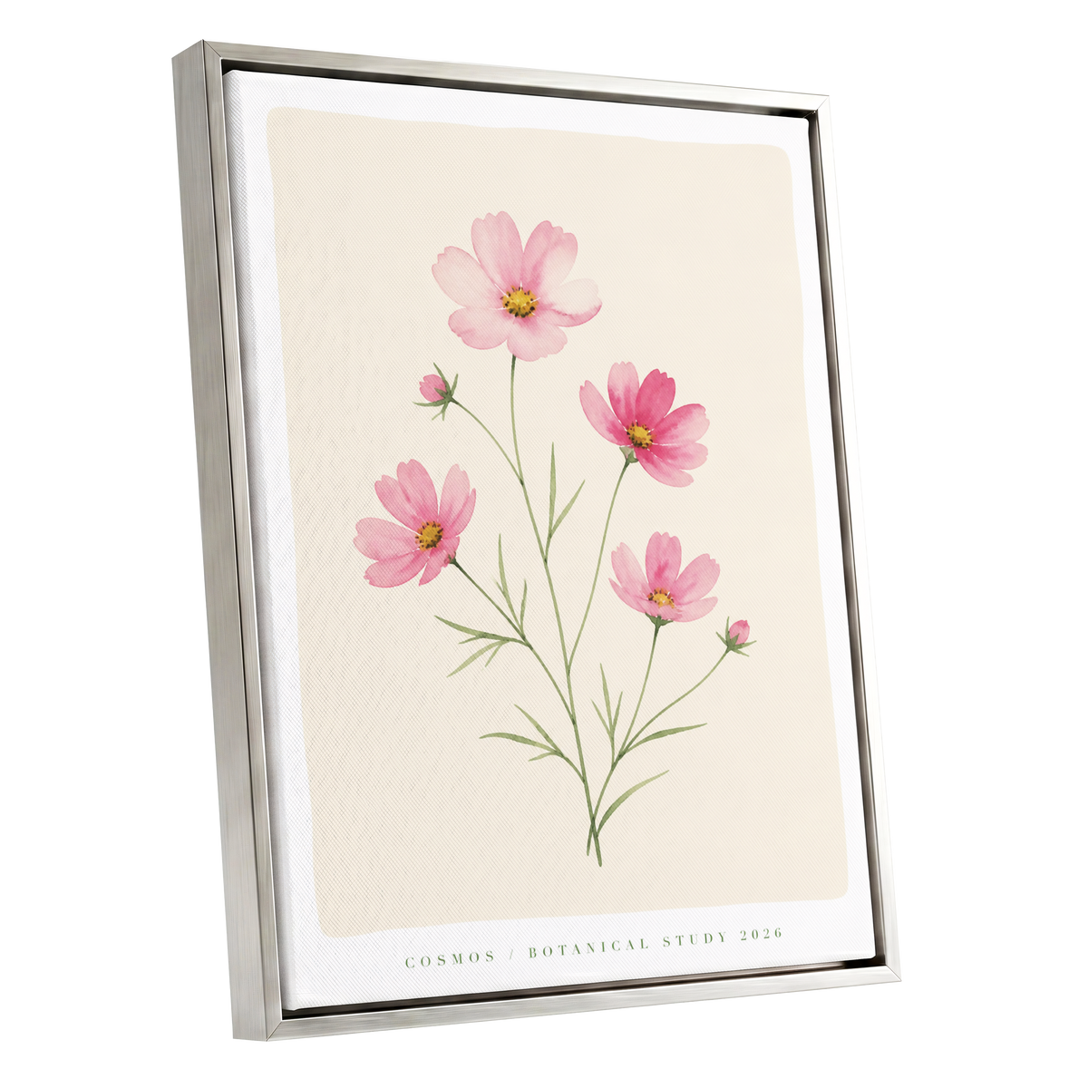 Blush Cosmos Study, pink, beige, green floral wall art shown as a silver framed canvas wall art