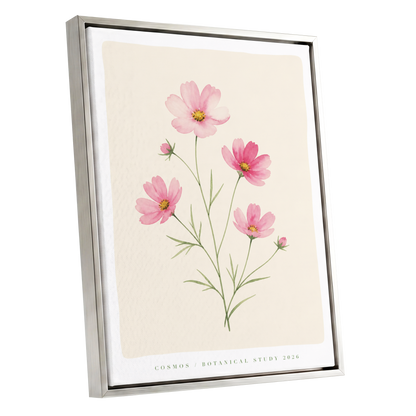 Blush Cosmos Study, pink, beige, green floral wall art shown as a silver framed canvas wall art