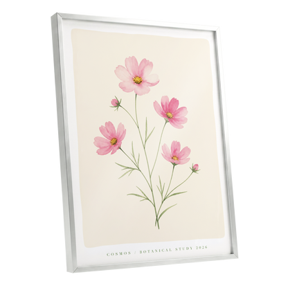 Blush Cosmos Study, pink, beige, green floral wall art shown as a silver framed poster wall art print
