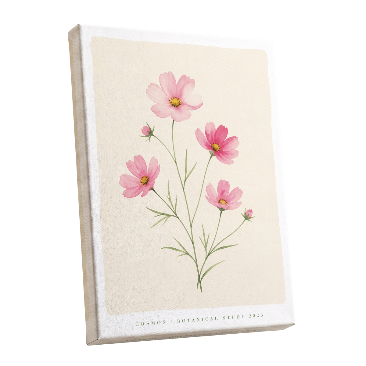 Blush Cosmos Study, pink, beige, green floral wall art shown as a stretched canvas wall art