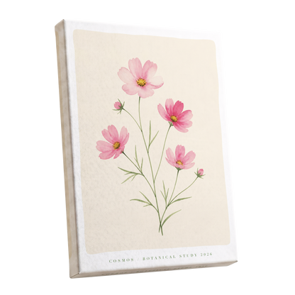 Blush Cosmos Study, pink, beige, green floral wall art shown as a stretched canvas wall art