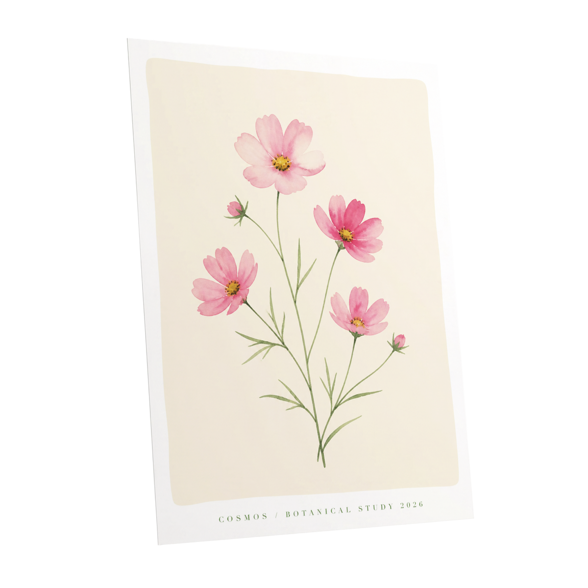 Blush Cosmos Study, pink, beige, green floral wall art shown as a unframed poster wall art print