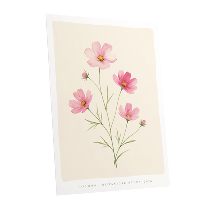 Blush Cosmos Study, pink, beige, green floral wall art shown as a unframed poster wall art print