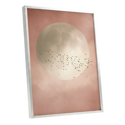 Blush Moon Migration, pink, beige, black nature wall art shown as a silver framed poster wall art print
