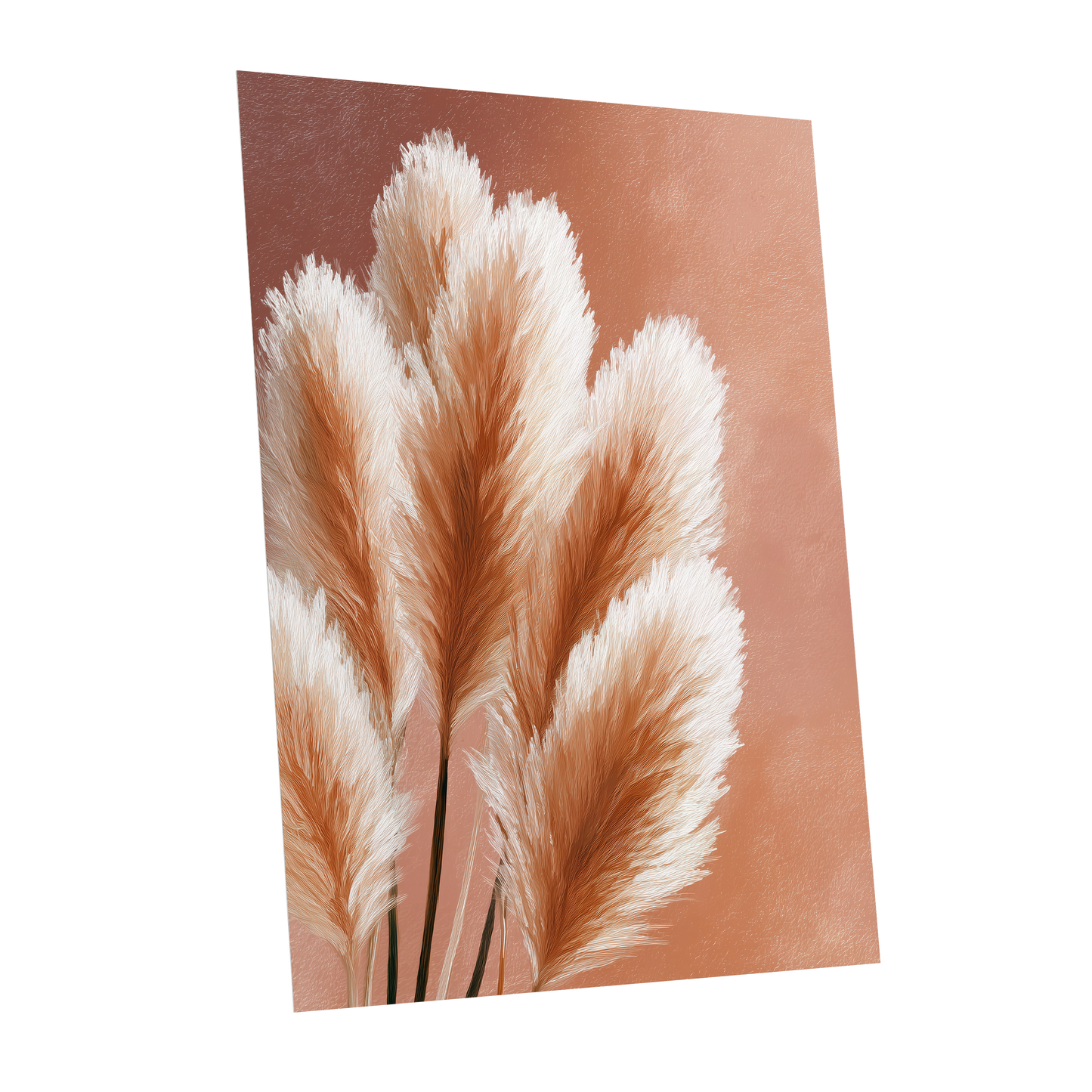 Blush Plume Reverie, pink, white, brown nature wall art shown as a unframed poster wall art print