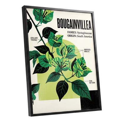 Bougainvillea Study, green, black, beige floral wall art shown as a black framed poster wall art print