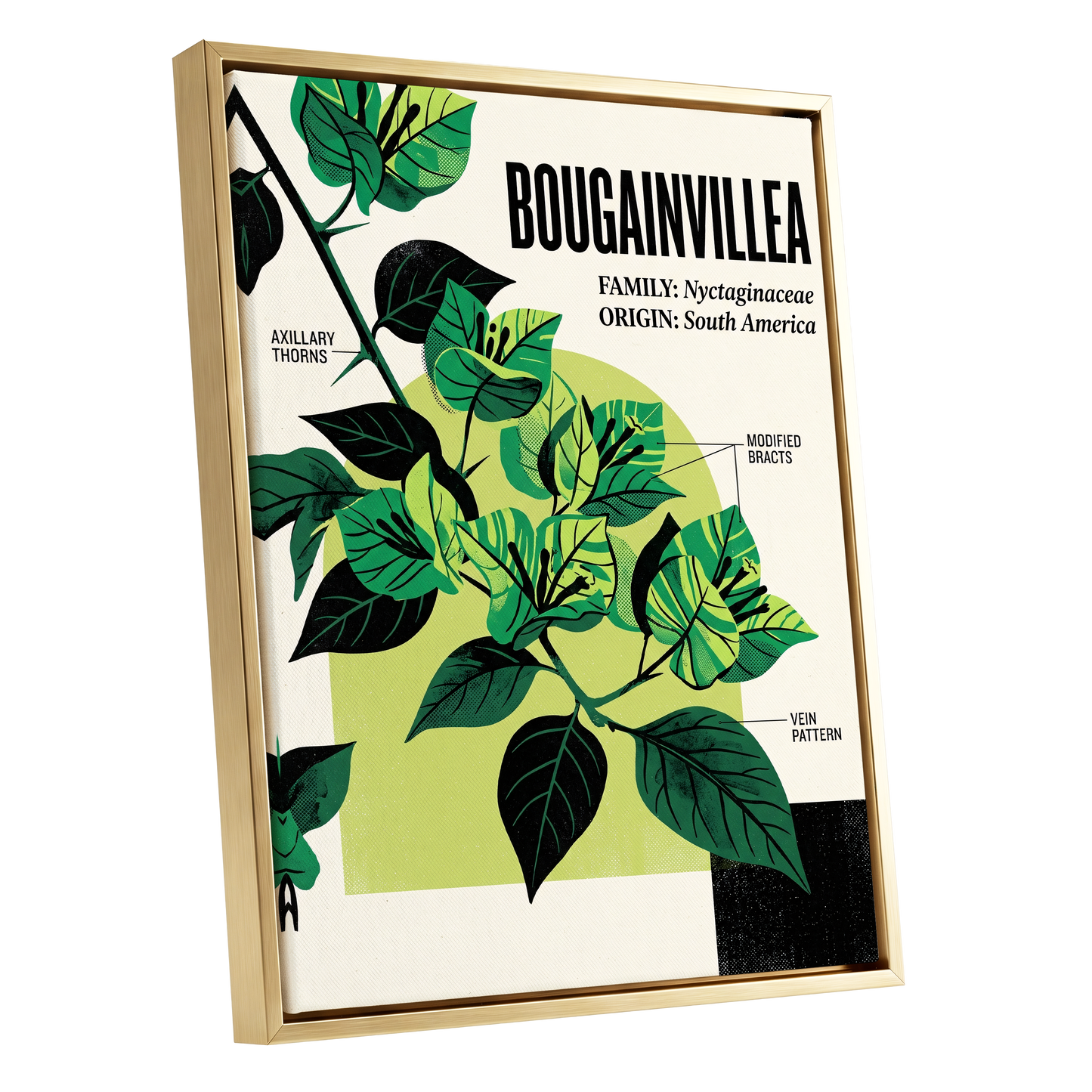 Bougainvillea Study, green, black, beige floral wall art shown as a gold framed canvas wall art