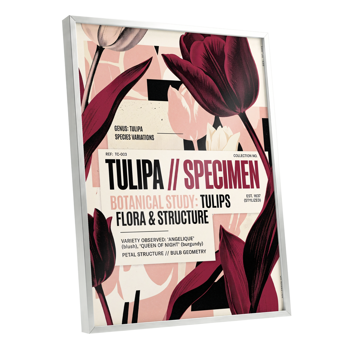 Burgundy Tulip Study, purple, pink, beige floral wall art shown as a silver framed poster wall art print