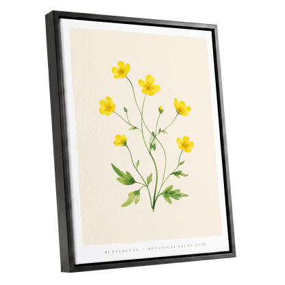 Buttercup Stillness, yellow, green, beige floral wall art shown as a black framed canvas wall art