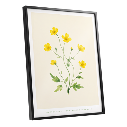 Buttercup Stillness, yellow, green, beige floral wall art shown as a black framed poster wall art print