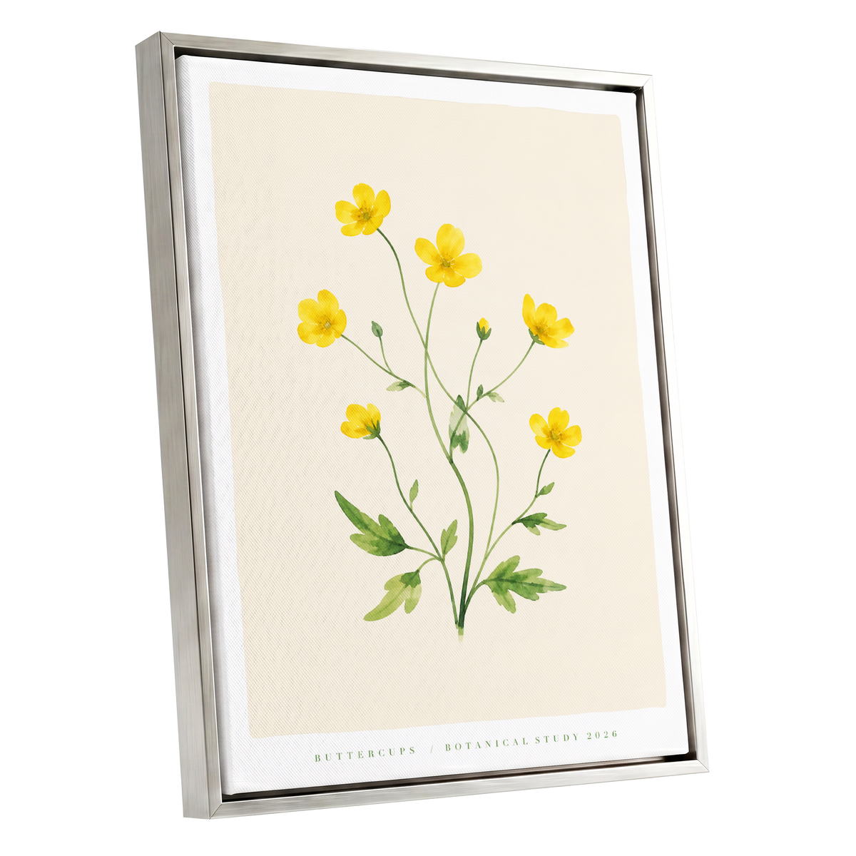 Buttercup Stillness, yellow, green, beige floral wall art shown as a silver framed canvas wall art