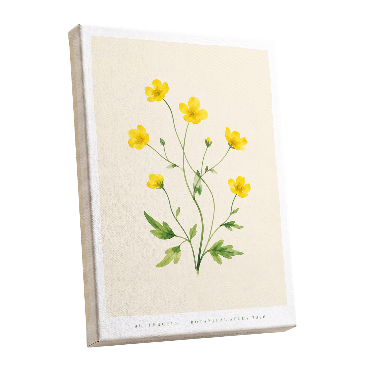 Buttercup Stillness, yellow, green, beige floral wall art shown as a stretched canvas wall art