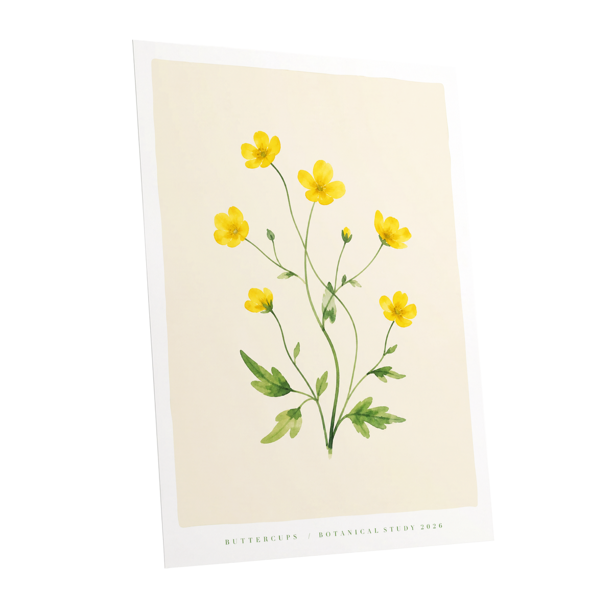 Buttercup Stillness, yellow, green, beige floral wall art shown as a unframed poster wall art print