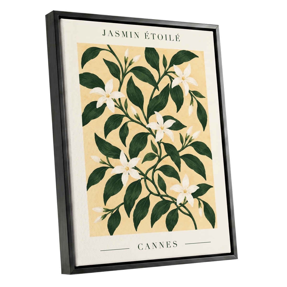 Cannes Jasmine Flourish, green, beige, white floral wall art shown as a black framed canvas wall art