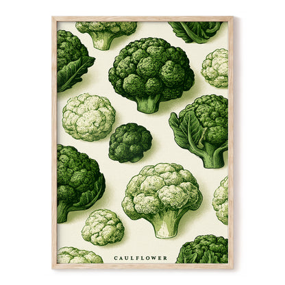 Cauliflower Study, green, beige, white nature wall art, front artwork view
