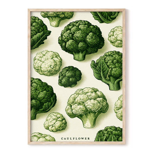 Cauliflower Study, green, beige, white nature wall art, front artwork view