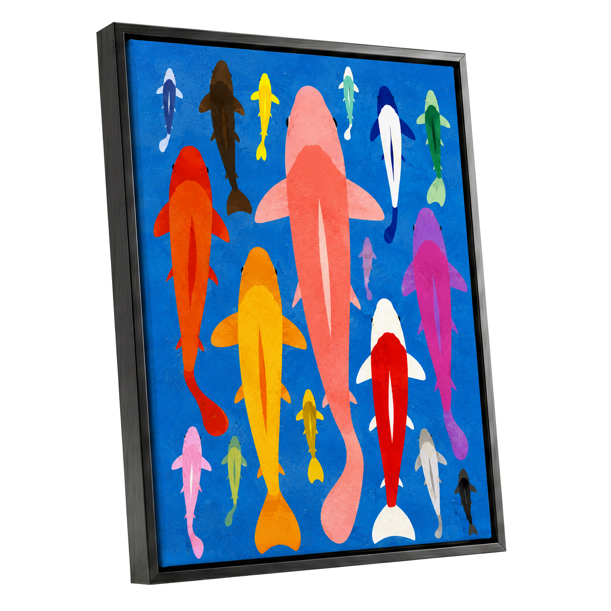 Chromatic Koi Parade, blue, pink, orange nature wall art shown as a black framed canvas wall art