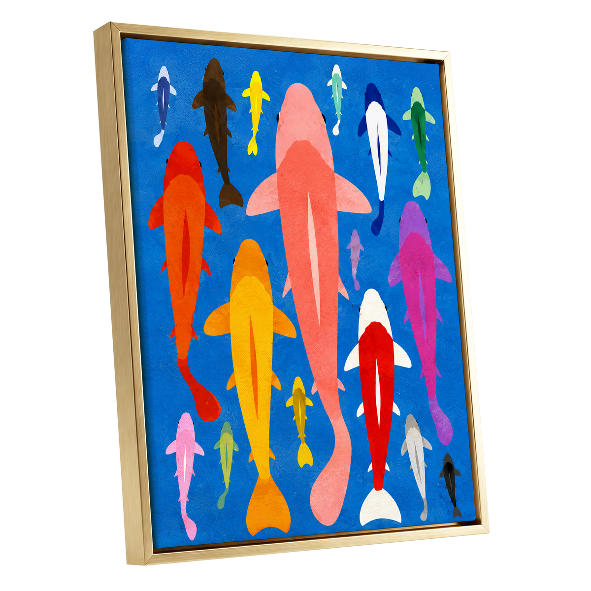 Chromatic Koi Parade, blue, pink, orange nature wall art shown as a gold framed canvas wall art